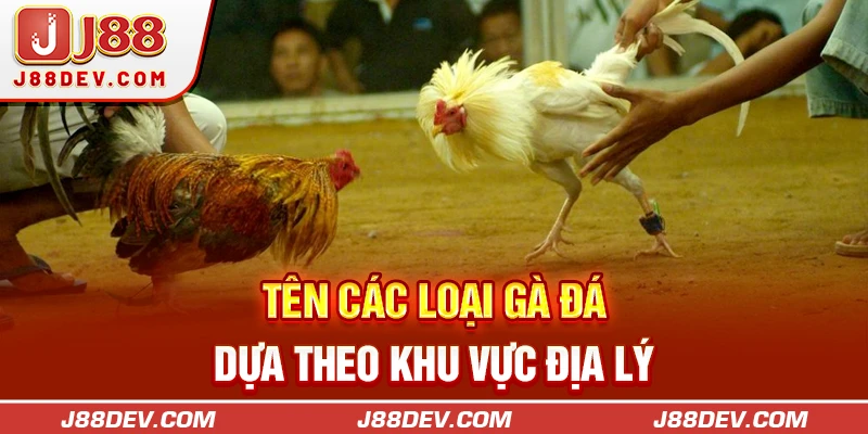 Tên các loại gà đá dựa theo khu vực địa lý